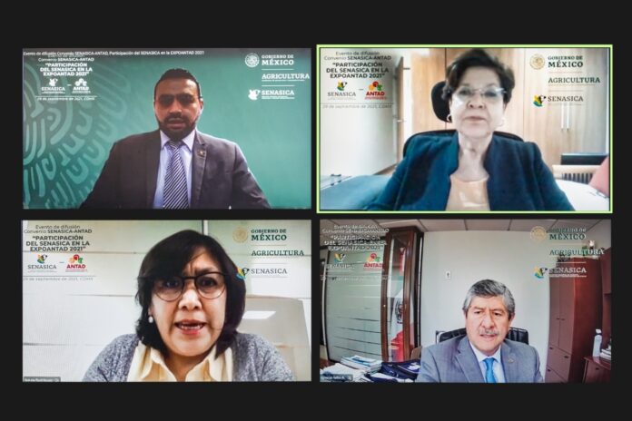 WhatsApp Image 2021-10-13 at 2.11.34 PM