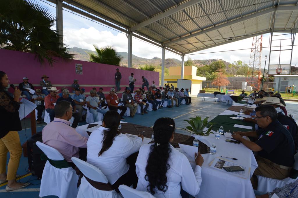 WhatsApp Image 2022-06-13 at 11.39.58 AM