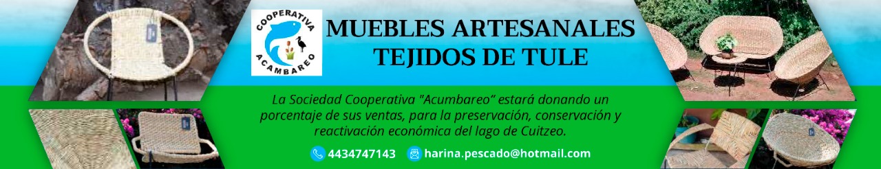 WhatsApp Image 2022-08-06 at 2.17.08 PM