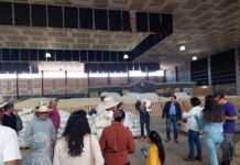 Productores de Lagunillas reciben minerales orgánicos del Programa Agrosano