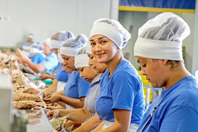 240500 AGRICULTURA AUMENTAN EXPORTACIONES AGROALIMENTARIAS-9