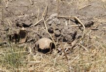 Hallan fosa con cuerpos en José Sixto Verduzco