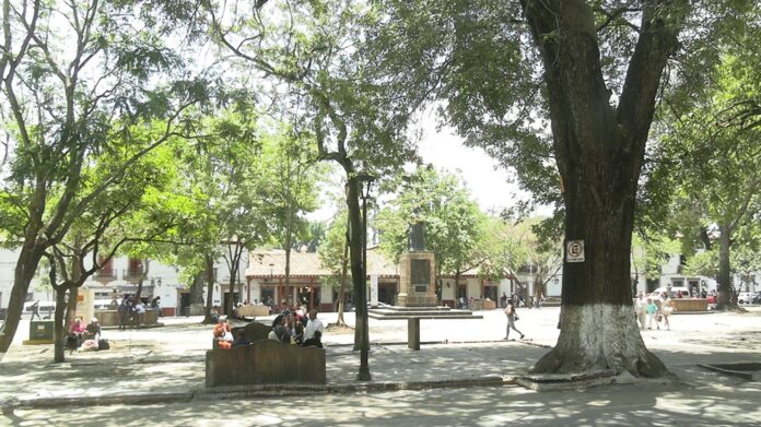 plaza gertrudiz2