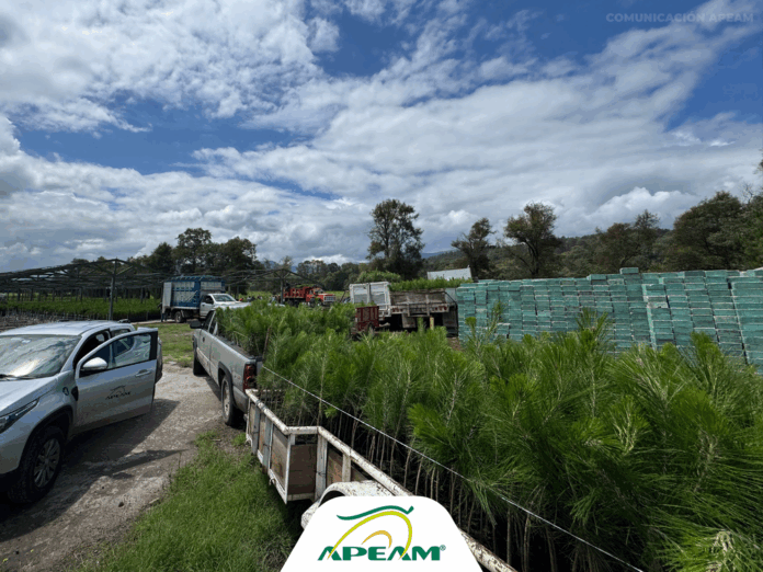 LOGO ENTREGA DE PLANTA-02