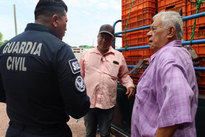 Tianguis limonero de Apatzingán