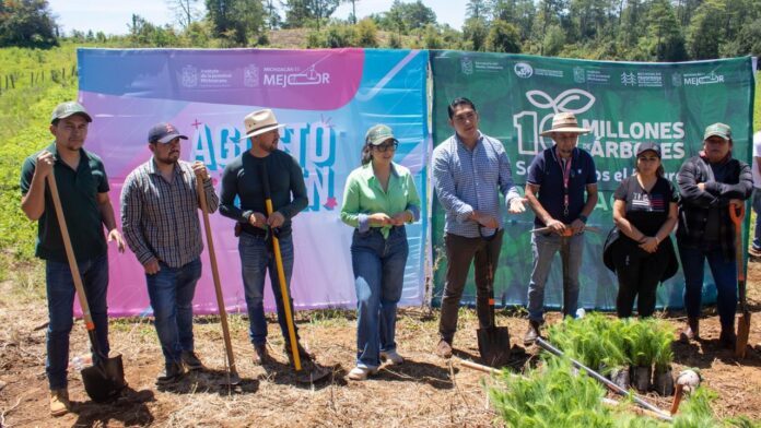 sembrando el futuro 3