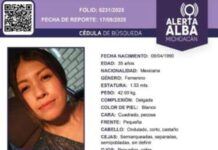 Intensa búsqueda de maestra desaparecida en Álvaro Obregón; su auto fue hallado calcinado