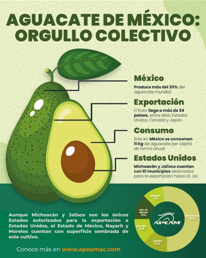 aguacate