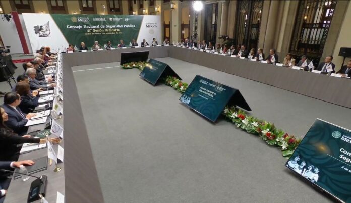 consejo seguridad pública