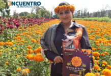 Productores de El Colegio invitan a la Fiesta de la Flor de Cempasúchil 2025