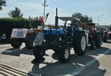 Productores de maíz rechazan precio de 6 mil 50 pesos; sostienen bloqueos a nivel nacional