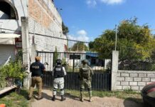 Nuevo cateo en Álvaro Obregón; confiscan casi mil dosis de drogas en Tzintzimeo