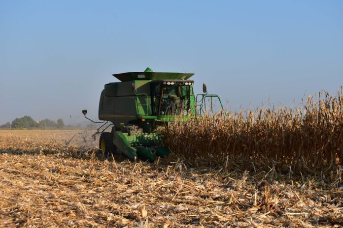 251106 AGRICULTURA GOBIERNO DE MÉXICO E INDUSTRIA ACUERDAN BASE HISTÓRICA PARA MAÍZ BLANCO-2