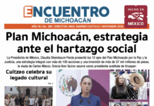 Plan Michoacán, estrategia ante el hartazgo social