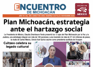Plan Michoacán, estrategia ante el hartazgo social