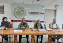 ¡Subsidios de hasta 95%! Abre ventanilla de energía eléctrica para uso agrícola