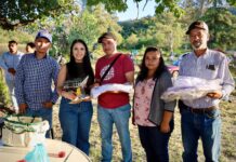 Diana Caballero impulsa la apicultura local con entrega de herramientas en la colonia Eusebio Luna