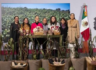 Presenta Gobierno de México Plan Nacional de Maíz Nativo
