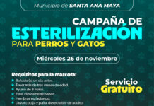 SSM lleva esterilización animal gratuita a Santa Ana Maya y Uruapan
