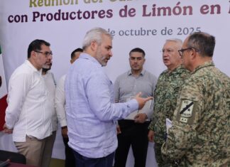 García Harfuch y el secretario de la Defensa, visitarán Morelia y Uruapan