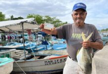 Gobierno de México beneficia a más de 192 mil pescadoras, pescadores, acuacultoras y acuacultores en 2025 con Bienpesca