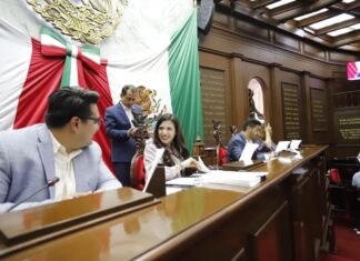 Congreso del Estado define por mandato constitucional el acceso a un medio ambiente sano y el bienestar animal