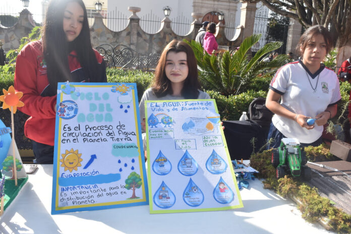 Feria ambiental (6)