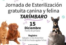 SSM invita a jornada de esterilización animal gratuita en Tarímbaro