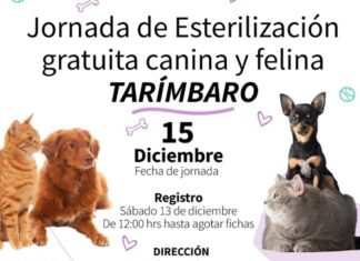 SSM invita a jornada de esterilización animal gratuita en Tarímbaro