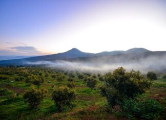 Michoacán blinda su patrimonio natural; Reforma eleva a rango constitucional el derecho al medio ambiente
