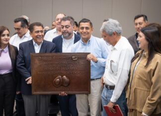 Aguacate Michoacano va por la Indicación Geográfica 2026