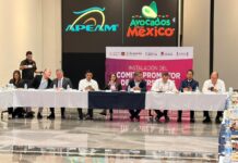 Instalan Comité Promotor de Inversiones en Uruapan; tendrá aguacate michoacano denominación de origen