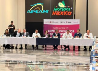Instalan Comité Promotor de Inversiones en Uruapan; tendrá aguacate michoacano denominación de origen