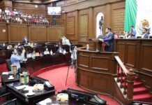 Octavio Ocampo presenta punto de acuerdo para reforzar la seguridad en los santuarios de la Mariposa Monarca