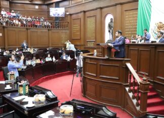 Octavio Ocampo presenta punto de acuerdo para reforzar la seguridad en los santuarios de la Mariposa Monarca