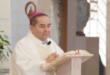 Perder la paz significa vivir con preocupación: Monseñor José Armando Álvarez Cano