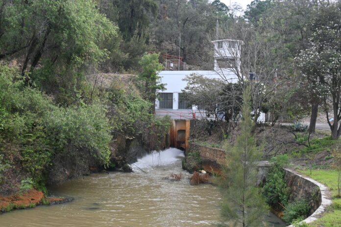 WhatsApp Image 2026-01-20 at 17.07.53