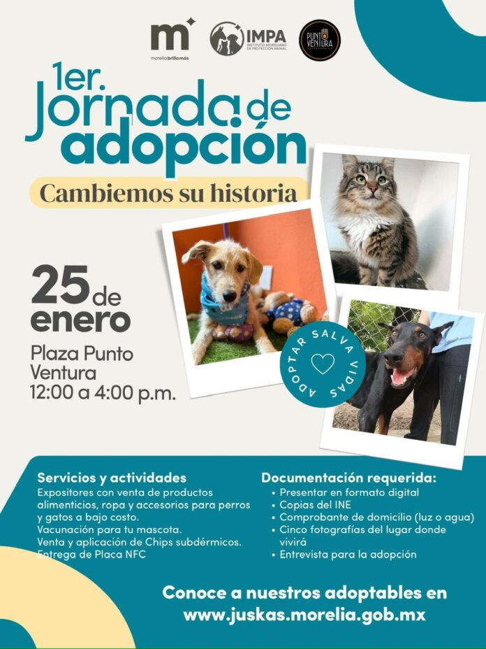 WhatsApp Image 2026-01-23 at 17.31.48