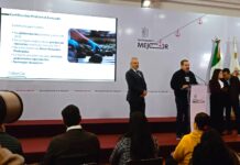 Michoacán bloquea exportación a 2 mil huertas de aguacate por delitos ambientales