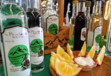 Tumbisca en una copa de mezcal al Pie del Cerro Rocoso