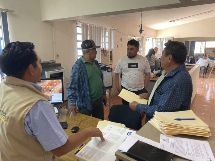 260224 AGRICULTURA ATIENDE PAGO DE INCENTIVOS PARA MAÍZ-6