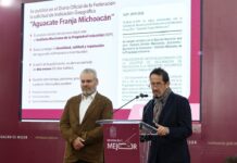 Avanza proceso de Indicación Geográfica para proteger al aguacate michoacano