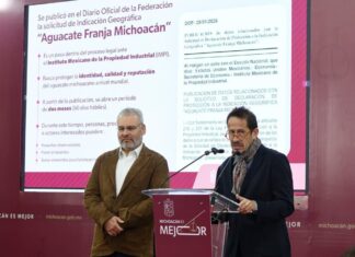 Avanza proceso de Indicación Geográfica para proteger al aguacate michoacano