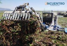 Con maquinaria estatal, arranca histórica limpieza y rescate del lago de Cuitzeo