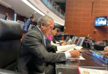 Senado aprueba por unanimidad reforma de Raúl Morón para transformar las bibliotecas en espacios incluyentes y plurilingües