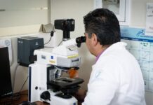 Cuidado del hígado contribuye a proteger el intestino y el cerebro, afirman especialistas del INMEGEN