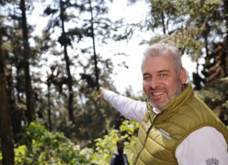 Michoacán logra erradicación histórica de la tala clandestina en Reserva de la Monarca