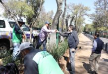 Supervisa Alfonso Martínez jornada integral de limpieza y reparación en la Calzada Juárez