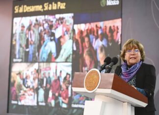 “México está destinado a la paz”; SEGOB fortalece atención a las causas con Tianguis del Bienestar y desarme en Michoacán
