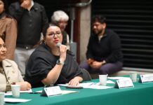 Avanza reforma laboral de 40 horas: Miroslava Shember recibe minuta en la Cámara de Diputados